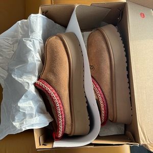 Tazz UGG Size 7